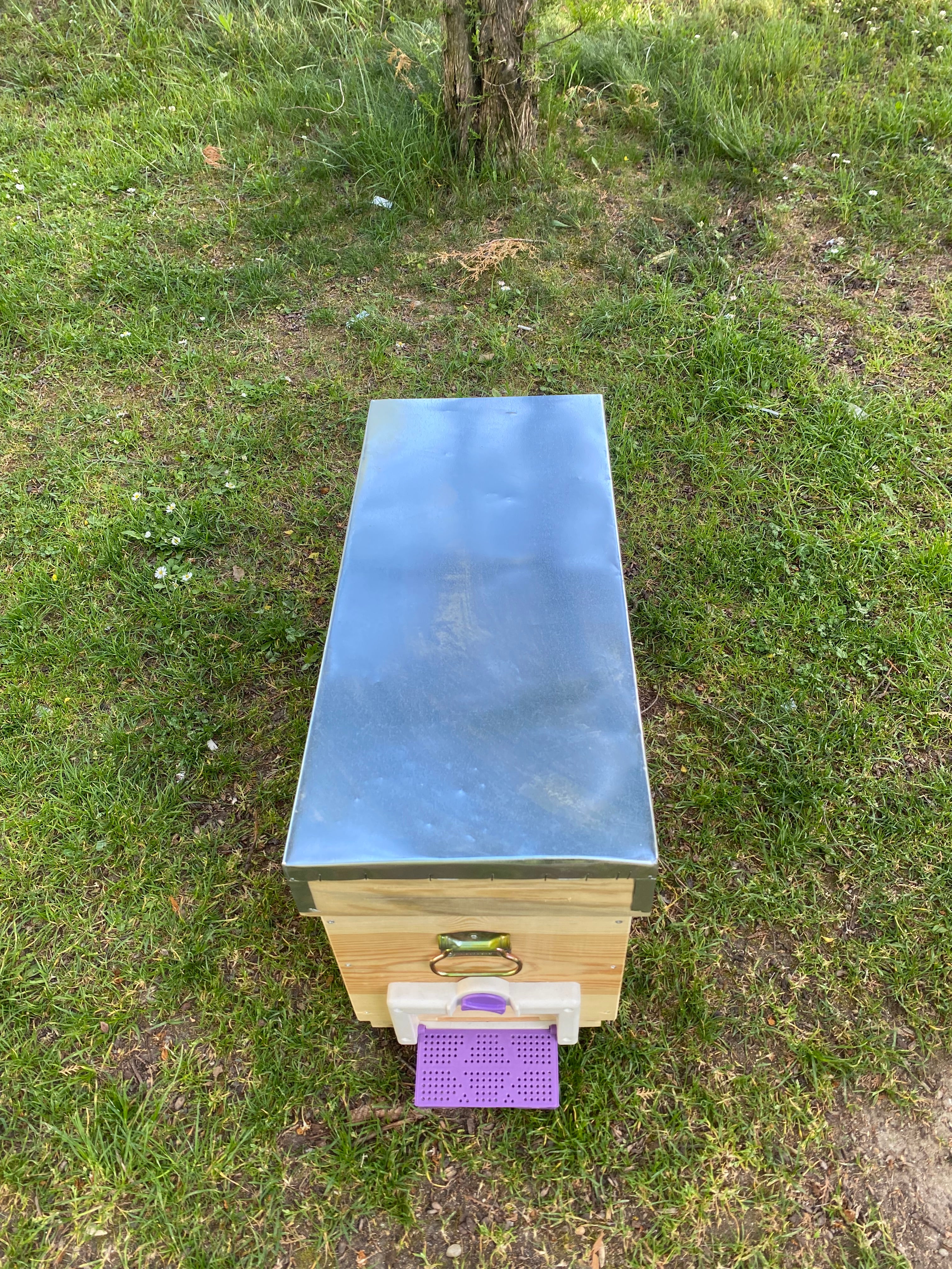 DoğaPetek 1. Sınıf Çam Tabut Kovan – 17 Çitalı Dayanıklı Arı Kovanı